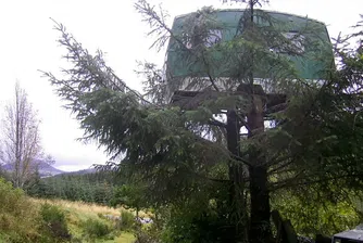 В Шотландия можете да отседнете във фургон на дърво