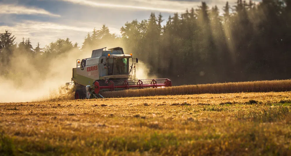 Рекордните жеги в Северна Европа удариха зърнопроизводителите