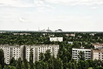 Произведоха водка в забранената зона около Чернобил