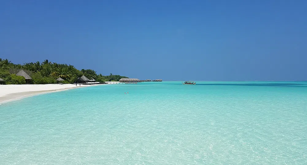 Малдивски курорт търси стажант, който да се грижи за костенурки