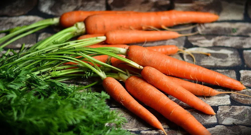 Десет любопитни факта за морковите
