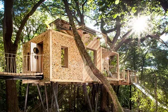 Къща на дърво, проектирана специално за възрастни
