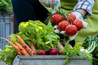 Lidl разработва първия стандарт за биоразнообразие в традиционно земеделие