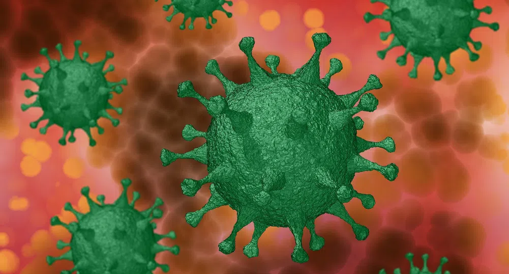 Общо 276 са заразените с коронавирус в България