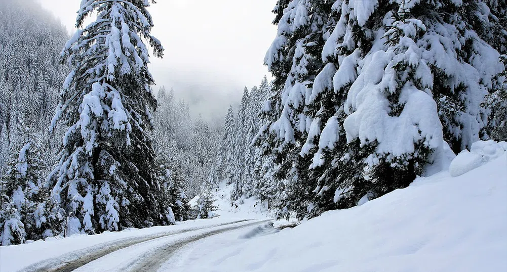 230 снегорина обработват пътищата на страната