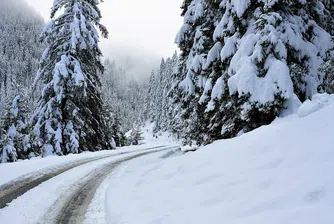 230 снегорина обработват пътищата на страната