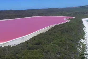 Защо австралийско езеро стана розово?