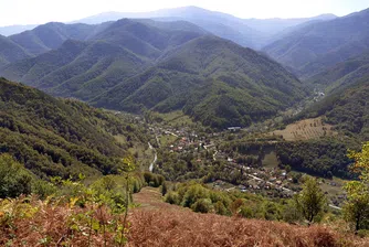 Вижте колко гори създаде България през последните 116 години