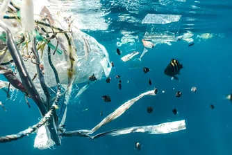 „Life in plastic“: От днес светът губи битката с използваната пластмаса