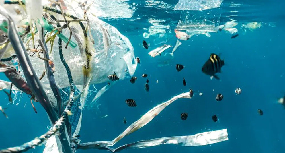 „Life in plastic“: От днес светът губи битката с използваната пластмаса