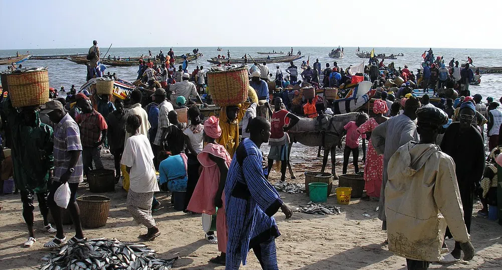 Оризовата революция в Сенегал може да служи за пример в Африка