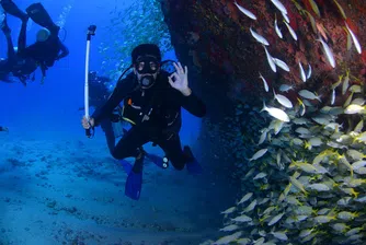 Уникален подводен военен музей откриха във водите на Червено море