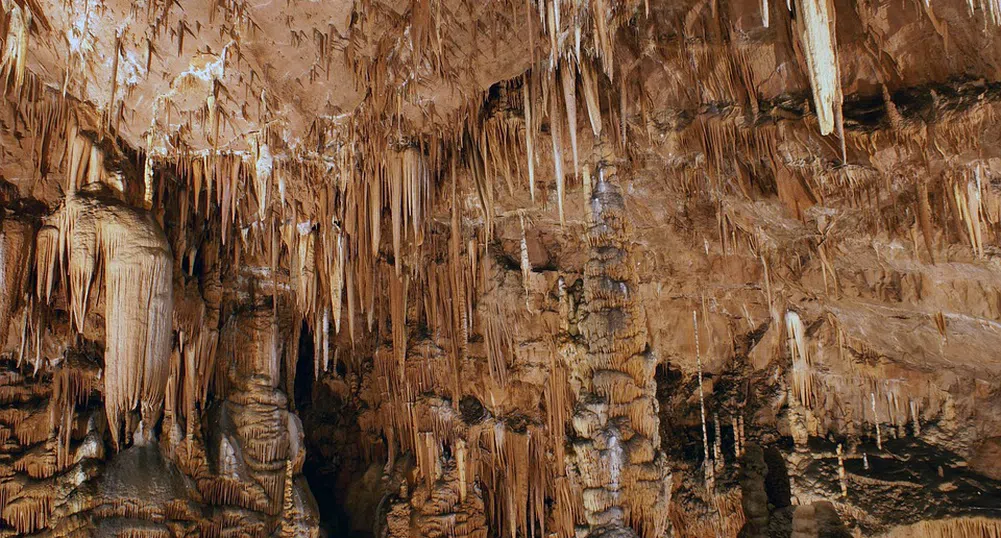 Находка от пещерата Бачо Киро променя мнението на учените за неандерталците