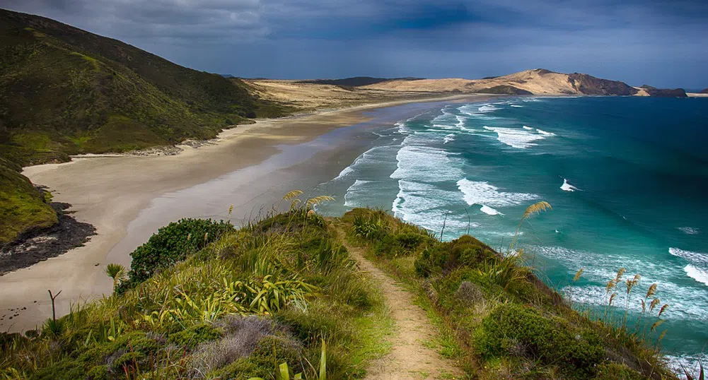 Кокаин за милиони изплува на райски плаж в Нова Зеландия