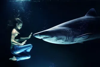 Най-големият страх на белите акули