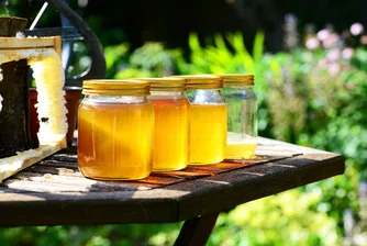 В кои държави се произвежда най-много пчелен мед?