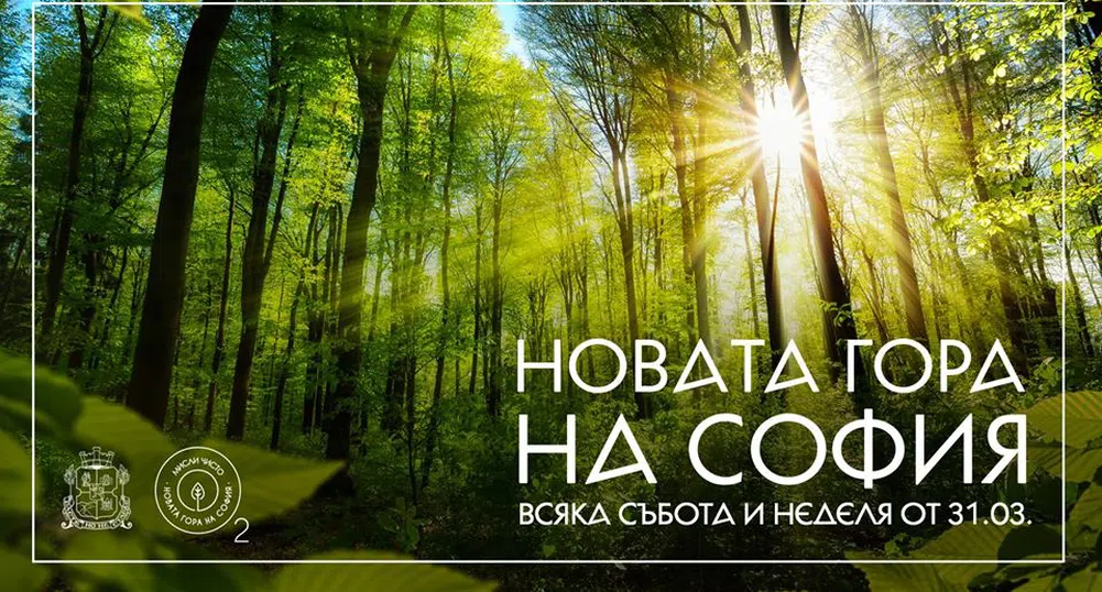 Днес стартира вторият залесителен сезон на Новата гора на София