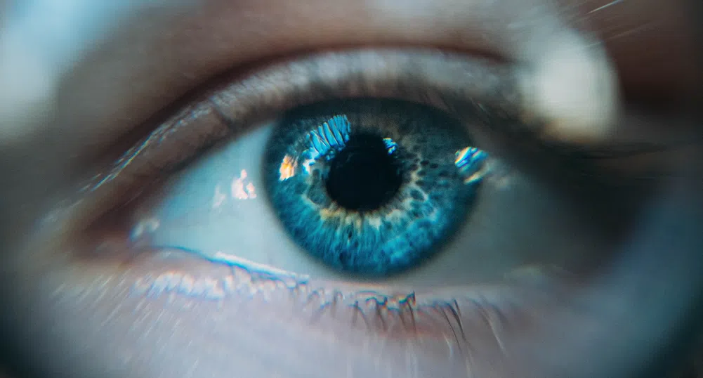 Човешкото око се превръща във VR система