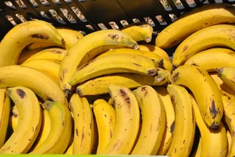 НАП продава 40 тона банани на търг