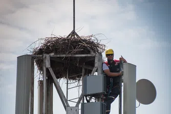 4G мрежата на А1 вече покрива 99%, а 4.5G - 90% от населението