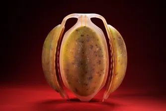 Плодът на бъдещето – 3D принтиран и с изобилие от витамини