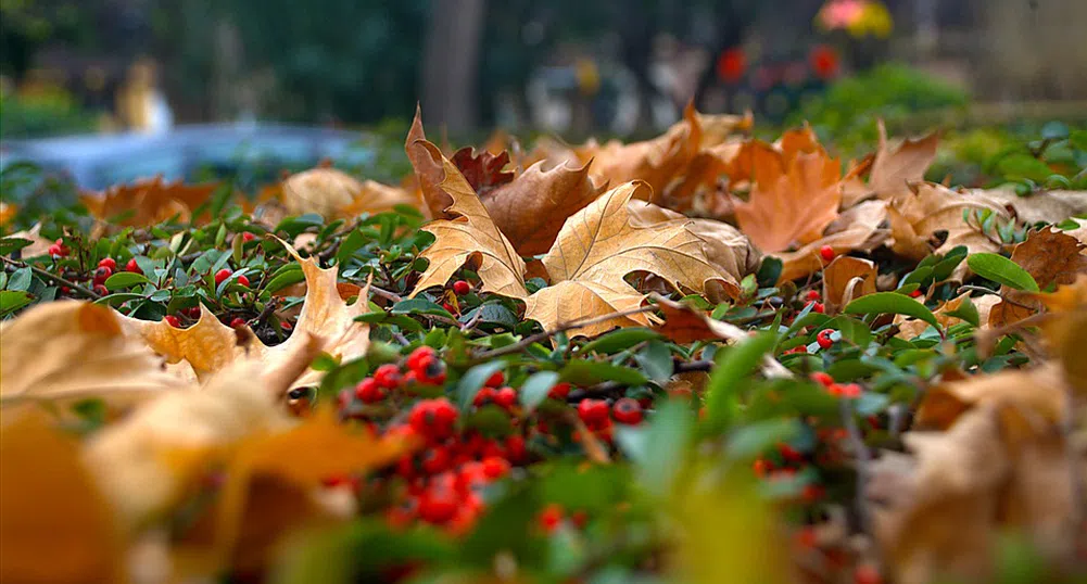 7 начина да се справите с есенната депресия