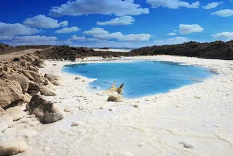 Стотици се съблякоха голи за фотосесия в пустинята на Израел