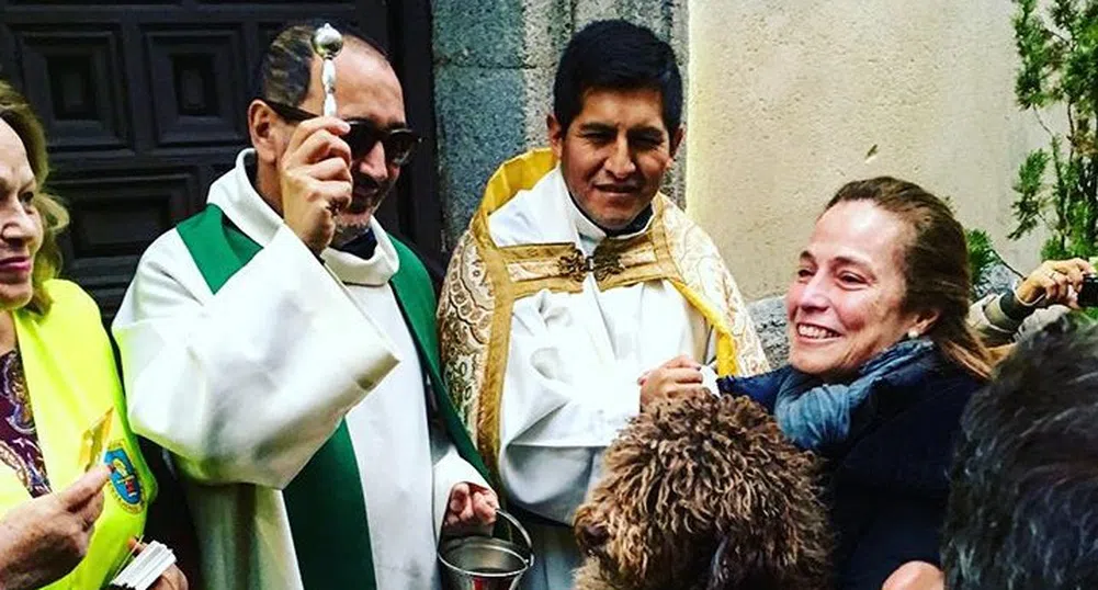 Кучета и котки получиха благословия в чест на Св. Антоний