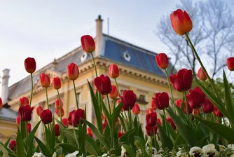 6.4% избирателна активност в София до 10 часа