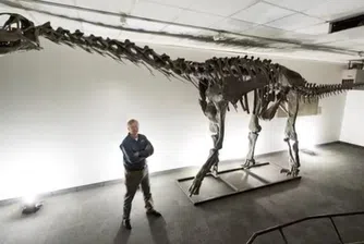 Откриха нов вид динозавър