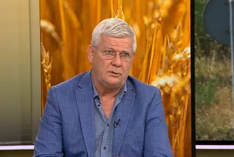 Министър Вътев: До края на ноември няма да се внася слънчоглед от Украйна