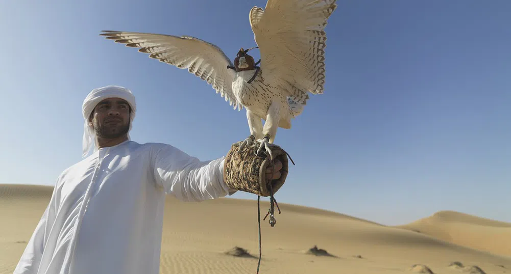 Соколи, мечове и бедуински станове: Древните съкровища на модерен Катар