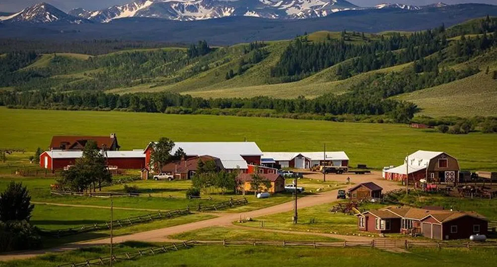 В Колорадо се продава ранчо със собствено стадо бизони