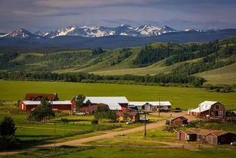 В Колорадо се продава ранчо със собствено стадо бизони
