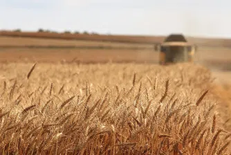 Полша, Унгария и Словакия с едностранни забрани за внос на украинско зърно