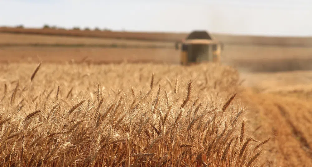 Полша, Унгария и Словакия с едностранни забрани за внос на украинско зърно