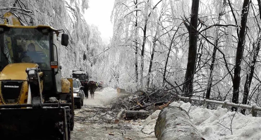 Петрохан остава затворен, продължава разчистването на падналите дървета