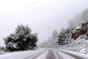 Сняг в Калифорния, затвориха пътища и част от летището в Ел Ей