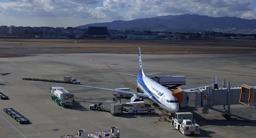 Хапването срещу 540 долара в паркиран на пистата самолет е хит в Япония