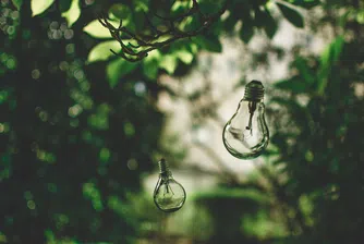 Могат ли светещи растения да заменят електрическите крушки?