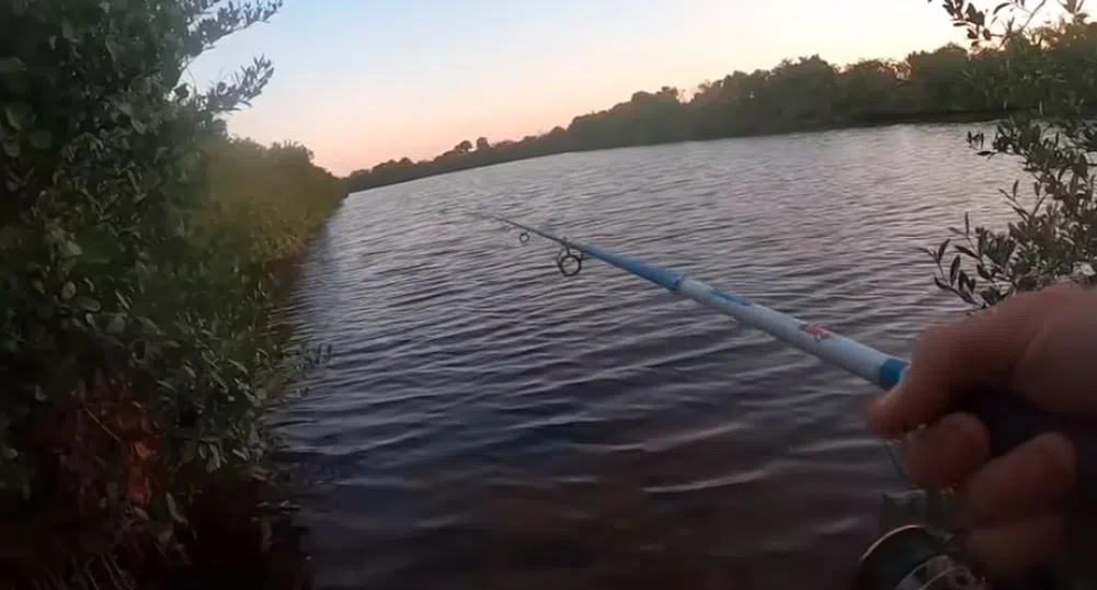 Рибар от Флорида за малко да стане улова на деня (видео)