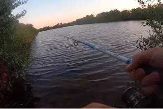 Рибар от Флорида за малко да стане улова на деня (видео)