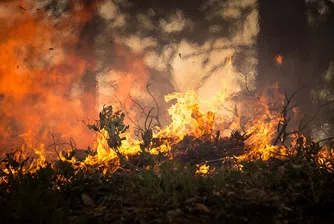 15 хил. дка са засегнатите площи от пожара в Кресненското дефиле