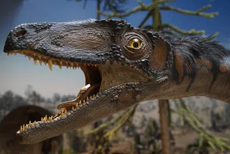 Откриха отпечатък от нов вид огромен хищен динозавър
