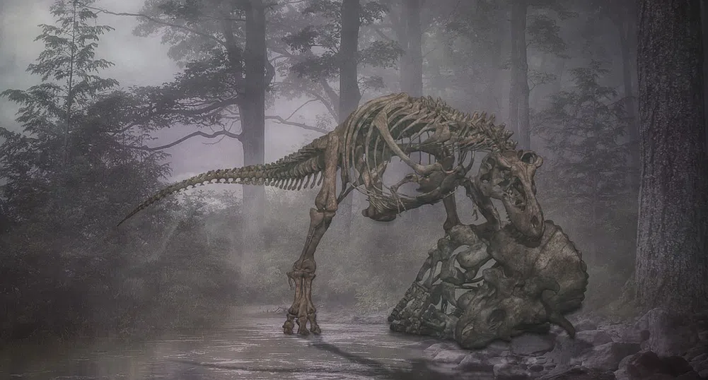 Скелет на динозавър на 76 млн. години продават на търг в Ню Йорк