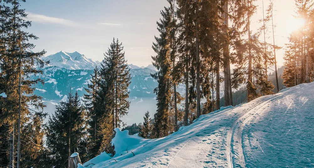 Ски сезон 2021/2022: 75 лева на ден за лифт карта в родните курорти