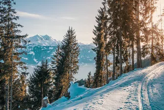 Ски сезон 2021/2022: 75 лева на ден за лифт карта в родните курорти
