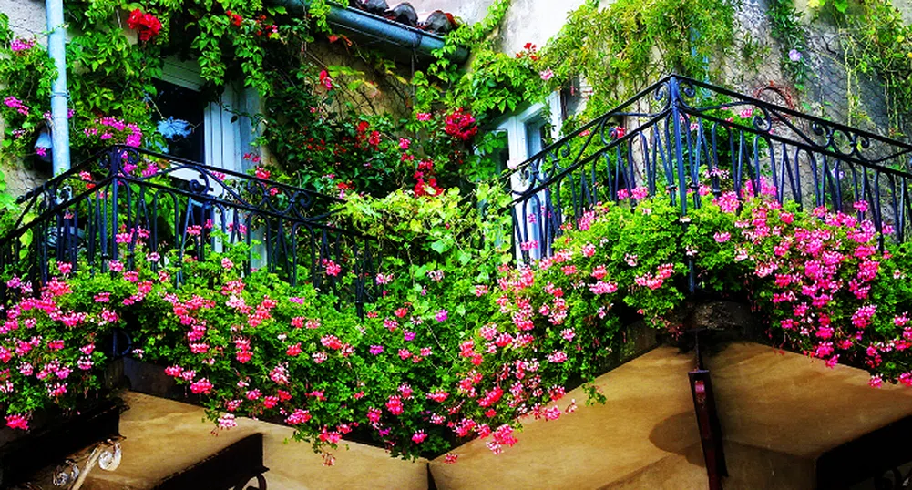 20 идеи как да озеленим балкона