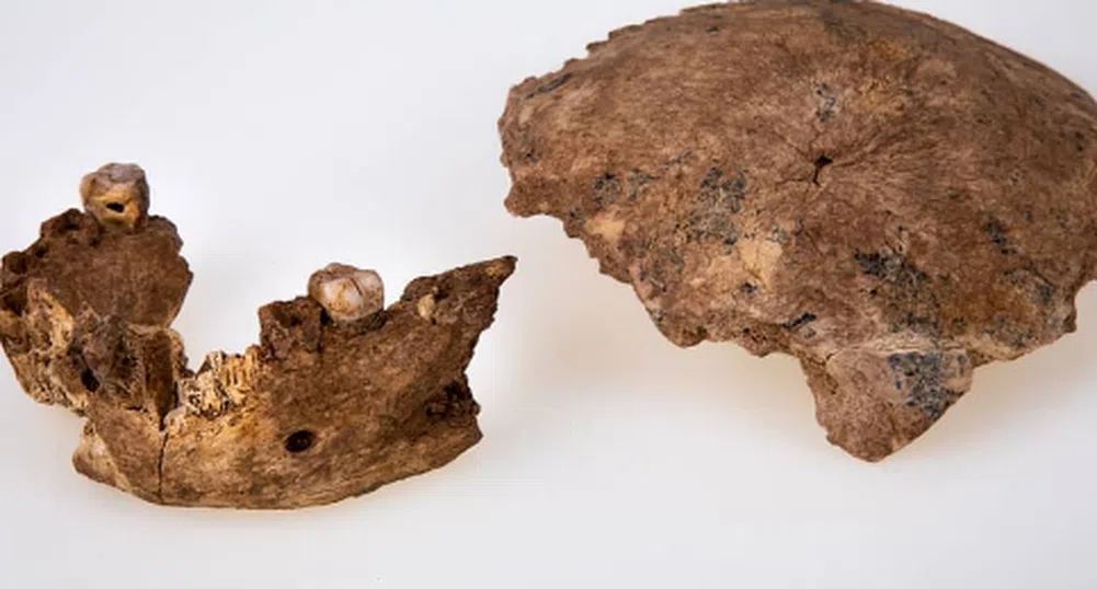 Останки на непознат праисторически човек бяха открити в Израел