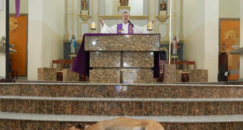 Защо свещеник кани улични кучета в храма по време на служба?